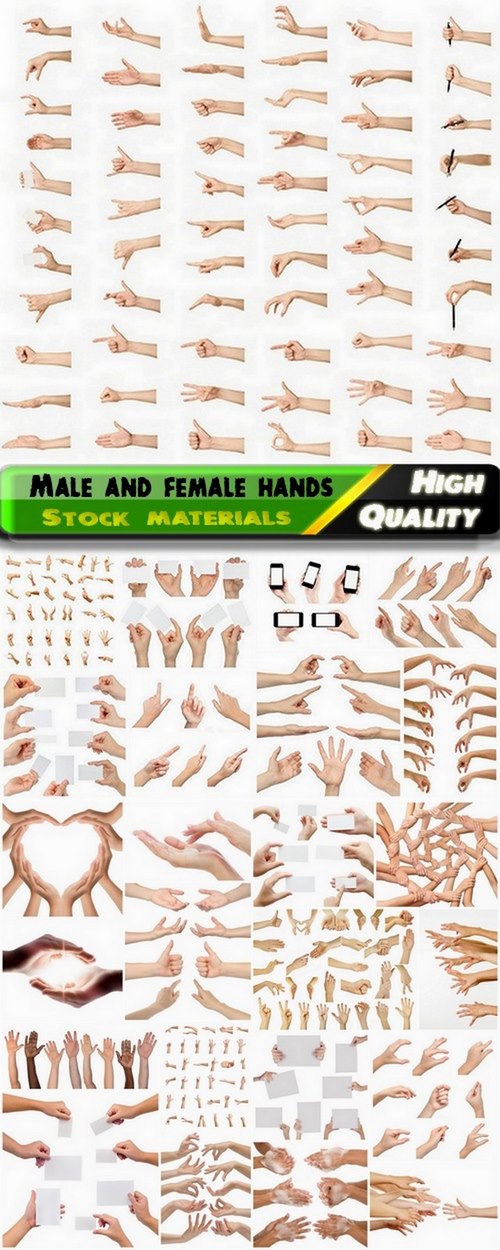 Male and female hands in different positions - 25 HQ Jpg