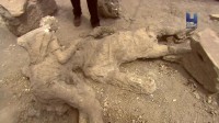 ,   / Pompeii - Rebirth of a City (2009) HDTVRip 720p