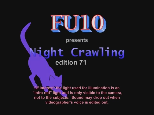 [URerotic.com] FU10 Night Crawling # 71 / FU10   # 71 (FU10, Urerotic.com) [2015 ., voyeur, spycam, SiteRip]