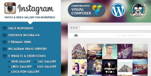 Instagram Photo & Video Gallery WordPress Plugin file