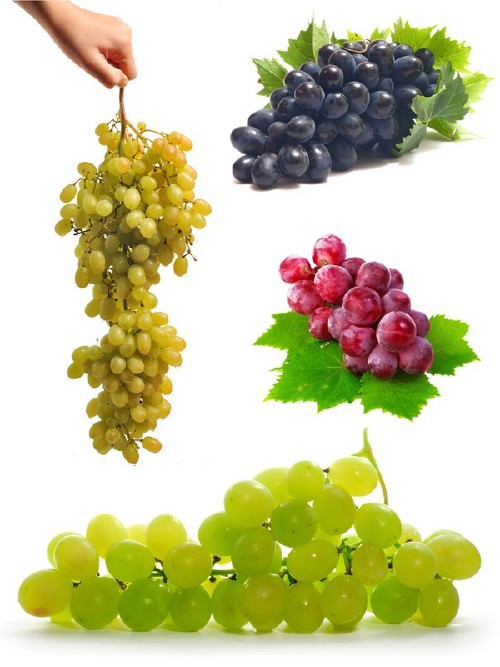 Виноград и виноградные гроздья на белом фоне (подборка изображений)