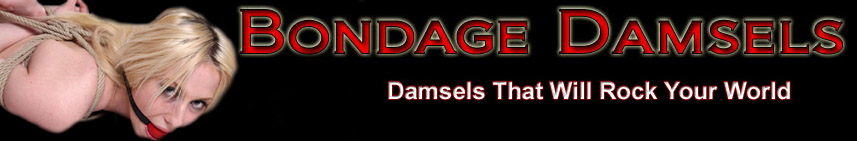 Deaneproductions.com / Bondagedamsels.com (Robert Deane, Deane Productions) (1047 ) [2001-2015 .., Bondage, SiteRip]
