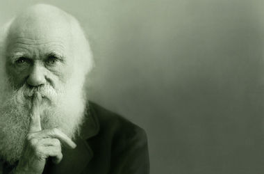 Ученые оспорили первенство Дарвина в создании теории эволюции