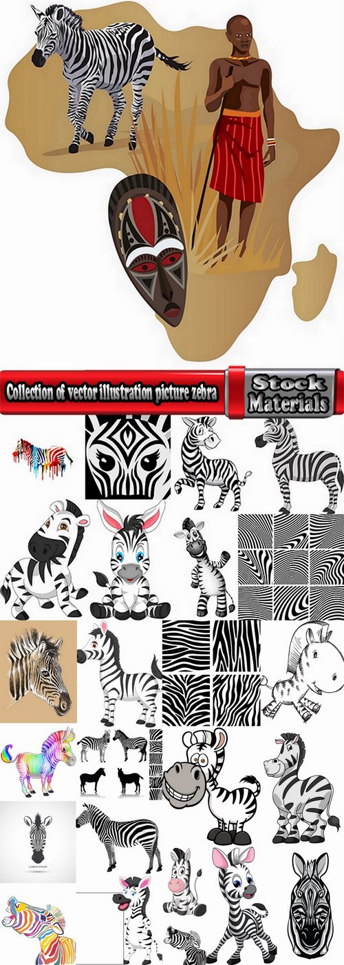 Collection of vector illustration picture zebra African animals black and white skin 25 Eps