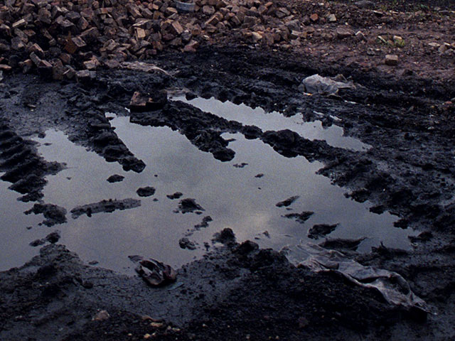 Экологи сообщают о разливах нефти на Сахалине, виновник - дочернее предприятие "Роснефти"