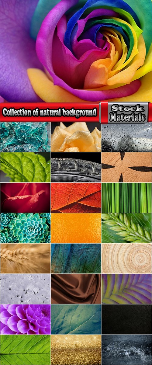 Collection of natural background is gold leaf feather silk flower drop 25 HQ Jpeg