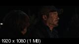 Железный человек 3 / Iron Man 3 (2013) Blu-Ray Remux 1080p | Лицензия