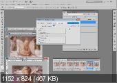   Adobe Photoshop CS5 (2013) 