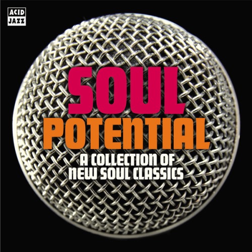 VA - Soul Potential (2013)