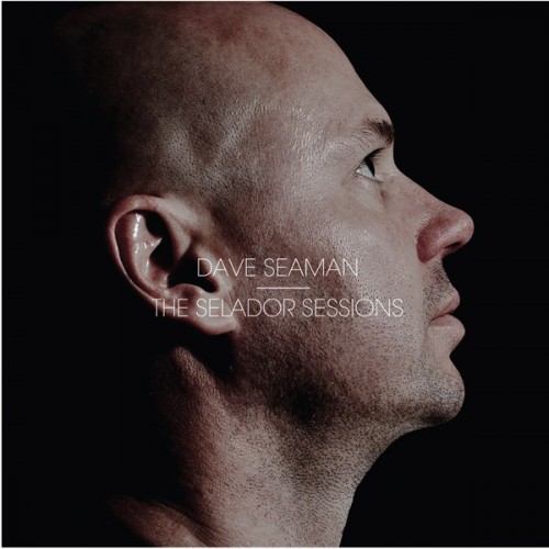 VA - The Selador Sessions: Mixed by Dave Seaman (2013) FLAC