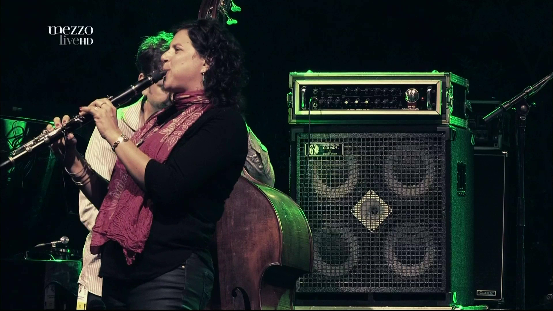 2013 Anat Cohen Quartet - At Istanbul Jazz Festival [HDTV 1080p] 9