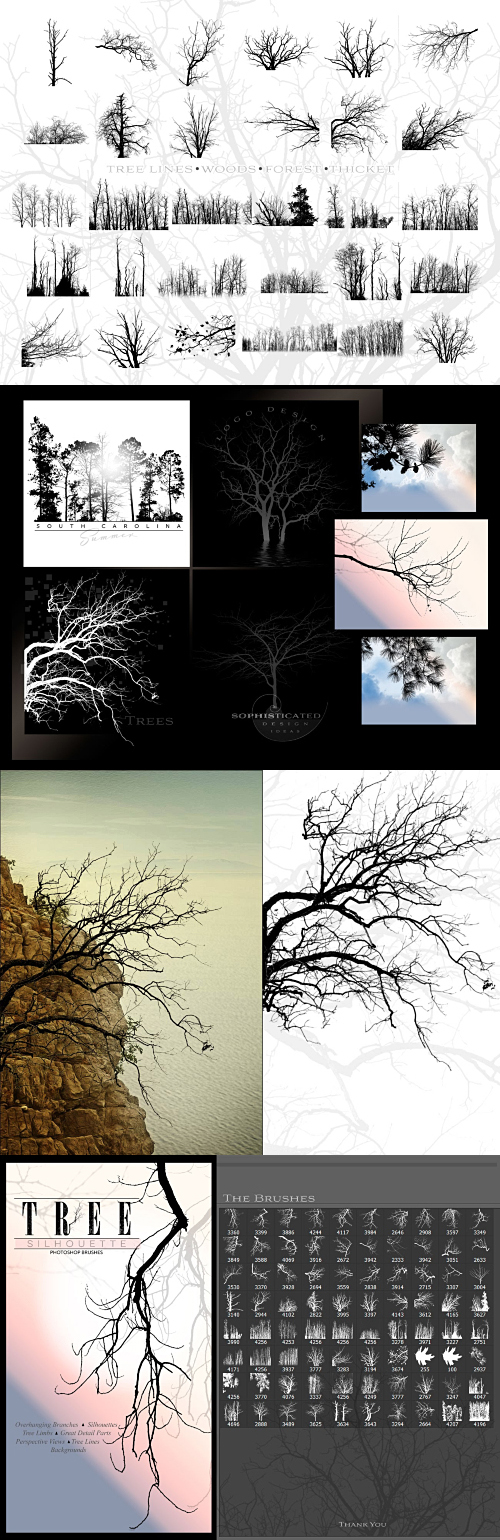 DAZ3D: Ron's Trees (Photoshop Brushes)